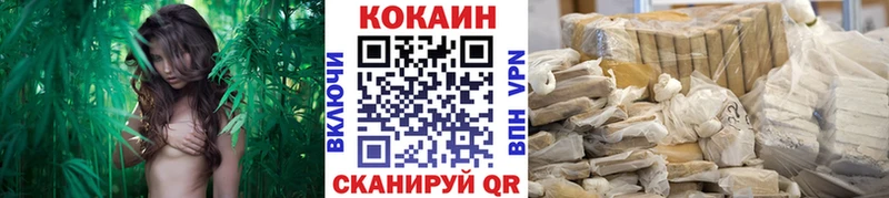 COCAIN Fish Scale  Рославль 