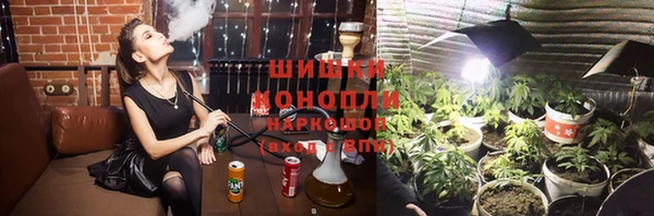 молекула духа Алексин