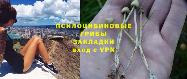 соль ск Алексеевка