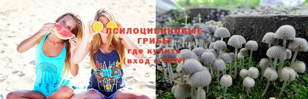 а пвп мука Алзамай
