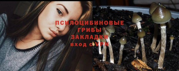молекула духа Алексин